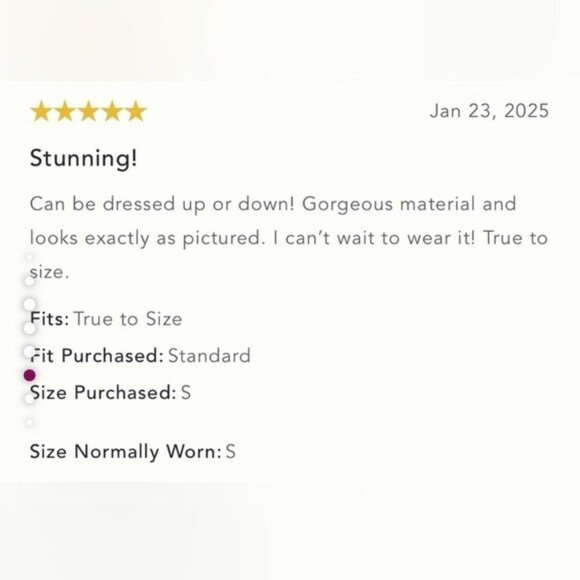 NWT Size XL - By Anthropologie Sequin Lace Midi Skirt - Picture 2 of 16